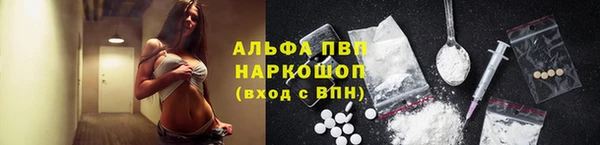 прущие грибы Слюдянка