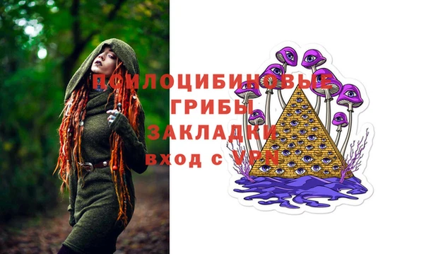 2c-b Бронницы