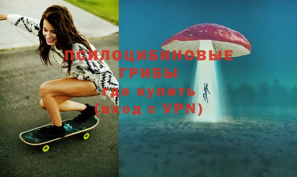 стафф Бородино