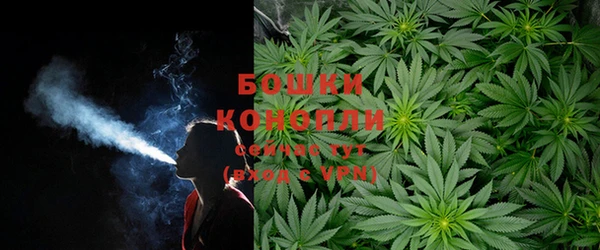 2c-b Бронницы