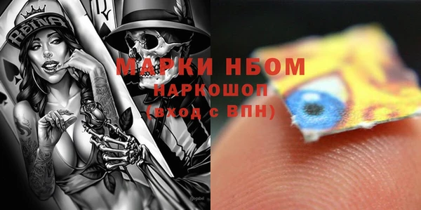 ГАЛЛЮЦИНОГЕННЫЕ ГРИБЫ Богданович