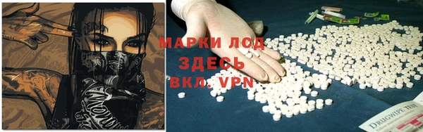 стафф Бородино