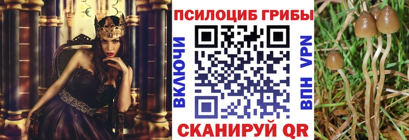 гидра рабочий сайт где купить наркоту Ковдор Псилоцибиновые грибы Psilocybe